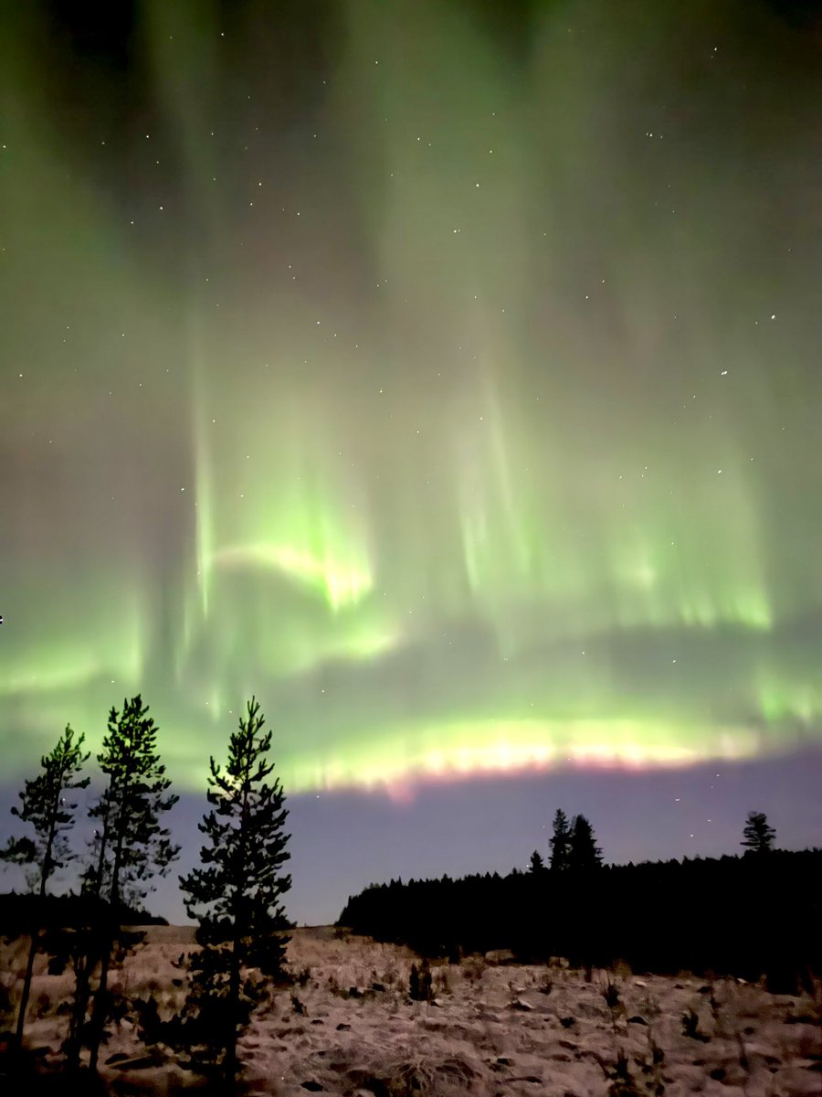 Auroras night ❤️‍🩹🇫🇮💕

#northernlights #auroras #finland #lapland #arcticcircle