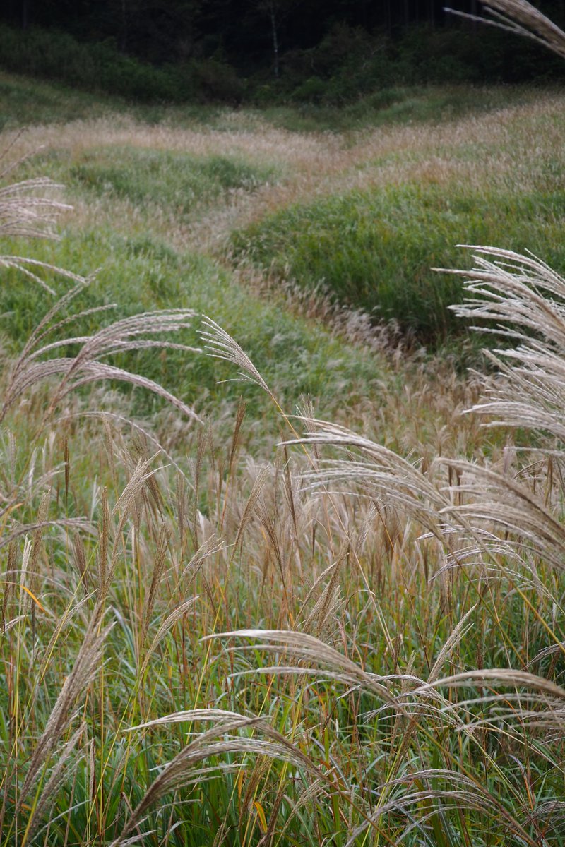 いつの間にか季節が変わっている