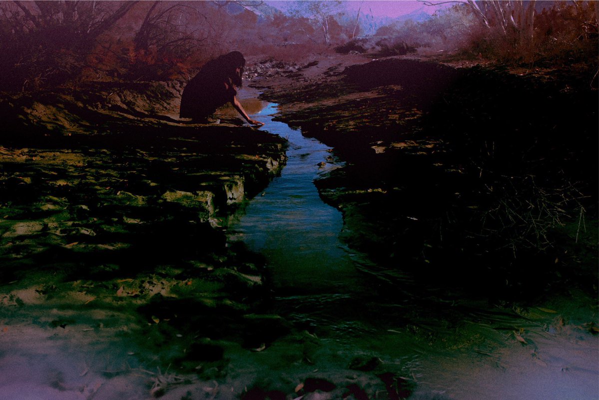 canvasoul_'s tweet image. we are so lightly here