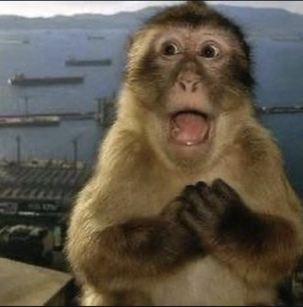 Mortal kombat
Rodman dennis
Genç çocuk
Gang and die wanna savana
Kendine bi serseri ısmarla
Yıldızlara doğru
Fam
İstanbul
Bildiğim tek şey
Ne gereği var
Crazy Frog
çıkmadığı evren