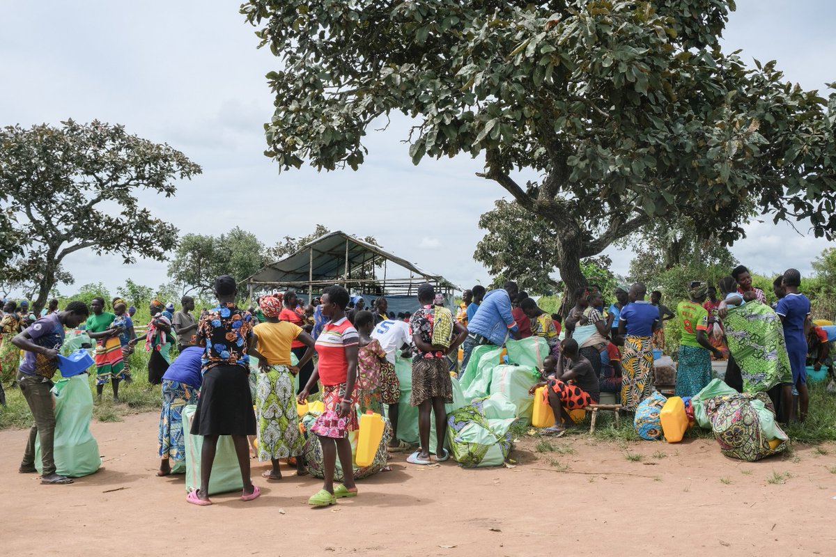MSFcongo's tweet image. 🔴A #Adi (Ituri), +45 000 réfugiés sud-soudanais, en majorité des femmes et enfants, sont confrontés à une précarité sans précédent maquant de tout. @MSFcongo  appelle à une mobilisation urgente pour renforcer les efforts multisectoriels➡️ t.ly/q6IAC