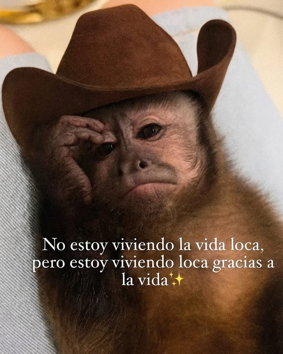 PapiChuck's tweet image. 