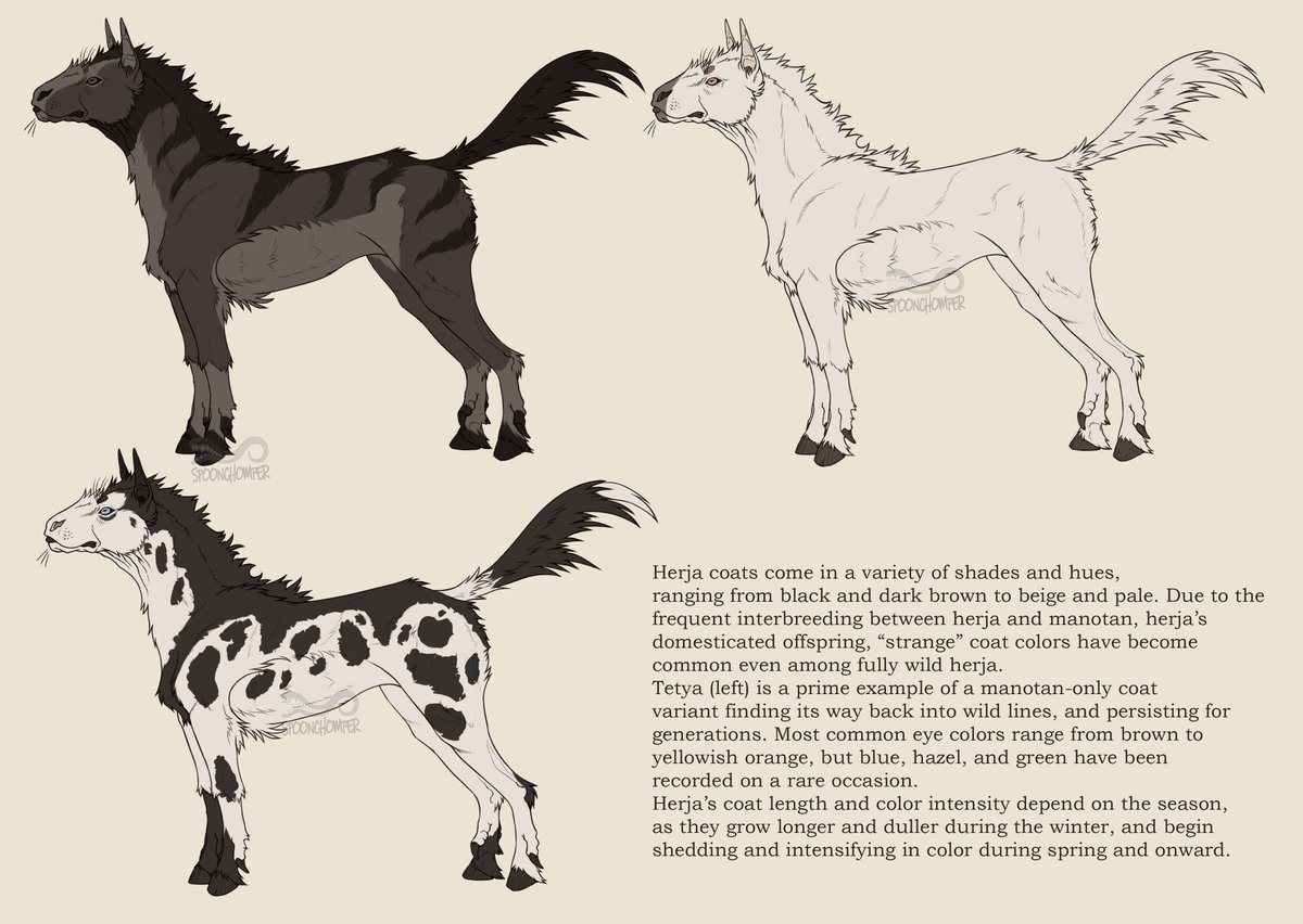 The beast is complete!
Aggressive and very opinionated, herjas bite first and think later(optional)