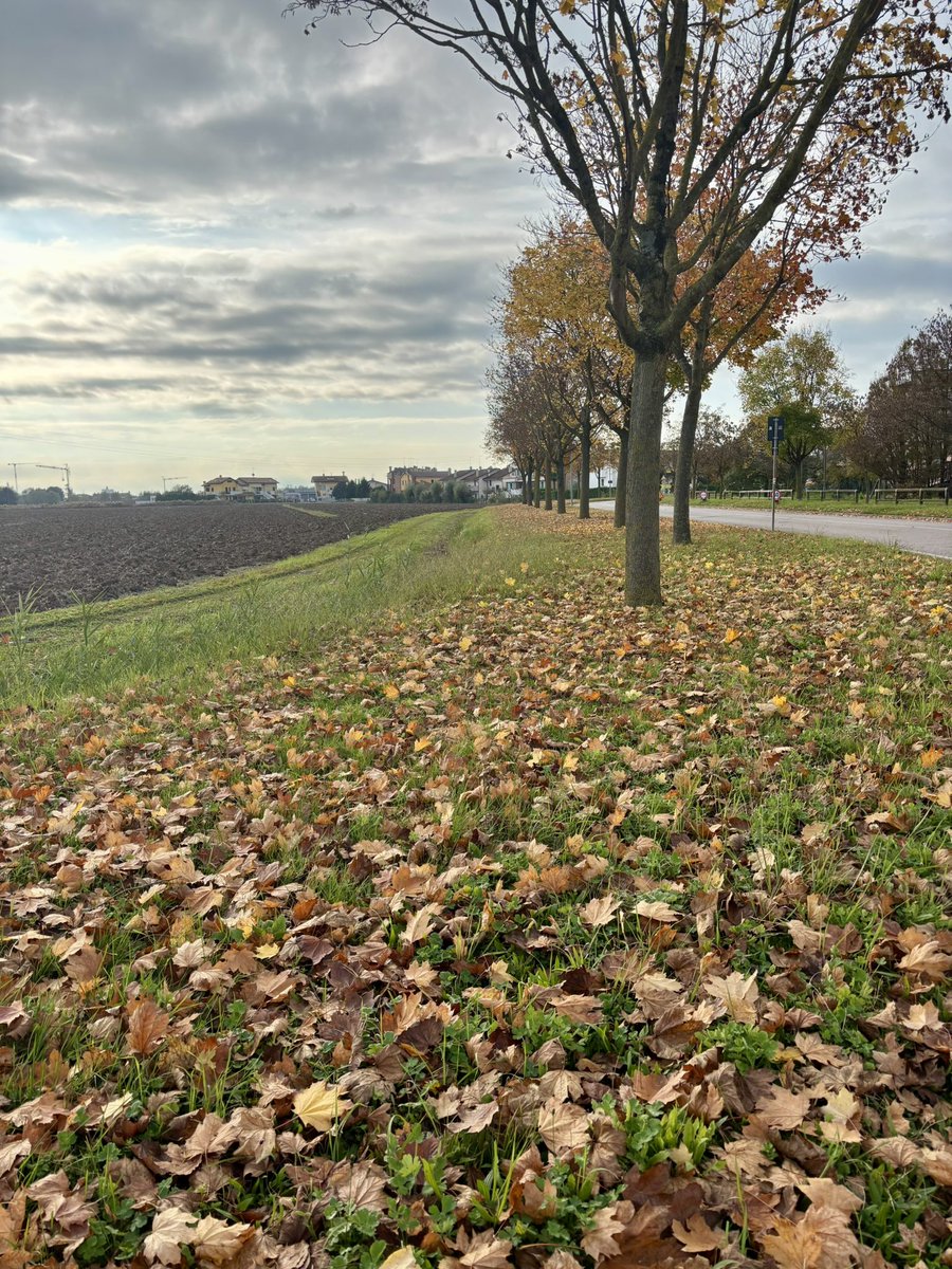 open.substack.com/pub/laura63393…