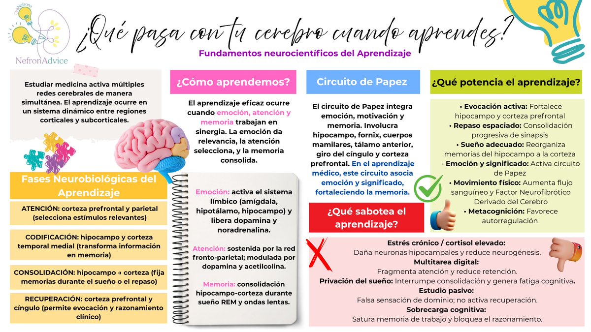 ¿Qué pasa con tu 🧠 cuando aprendes? 👀
✔️El cerebro médico aprende organizando
✔️La emoción potencia la memoria
✔️La recuperación fortalece las redes neuronales
💤El sueño es esencial para consolidar lo aprendido
LAS GUARDIAS SON POR RAZONES ASISTENCIALES (✋de🔨) NO ACADÉMICAS