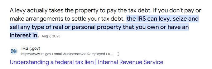 Infographic from IRS website dated August 2025 explaining federal tax liens for small businesses and self-employed individuals, with text detailing how failure to pay taxes leads to levy seizure and sale of real or personal property, including official IRS logo and URL links.
