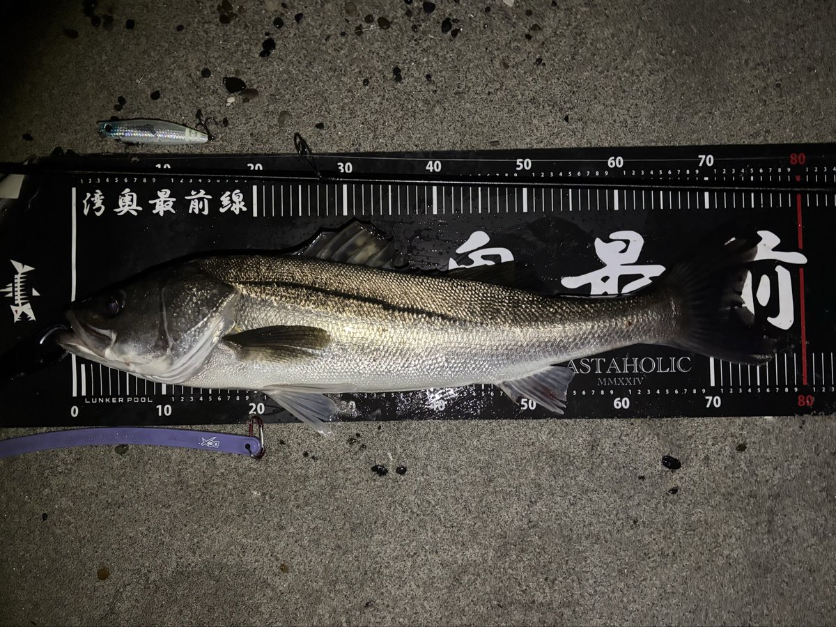 2178❣️ 瑪瑙　馬　唐馬　戦闘馬 2178❣️ 瑪瑙 馬 唐馬 戦闘馬 馬上揮毫図小柄 銘 宗珉 Kozuka design