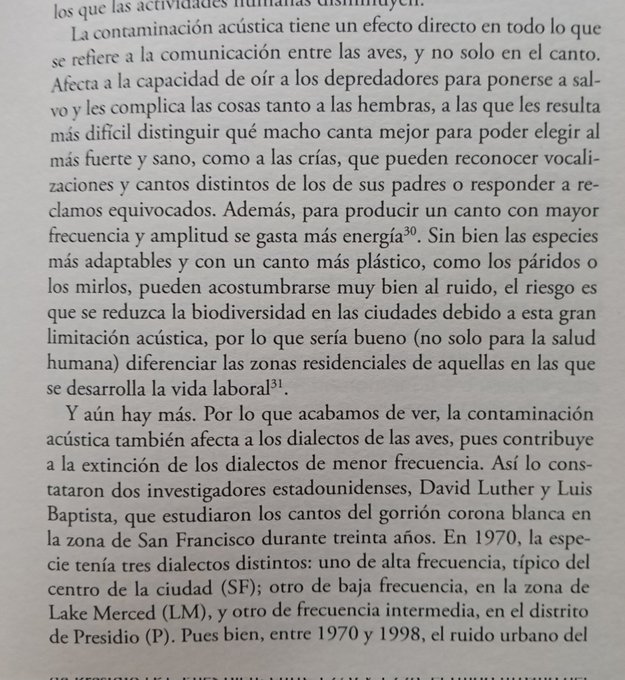 MFilosofal's tweet image. Francesca Buoninconti, &quot;Mira quién habla&quot;
#pájaros #ContaminaciónAcústica