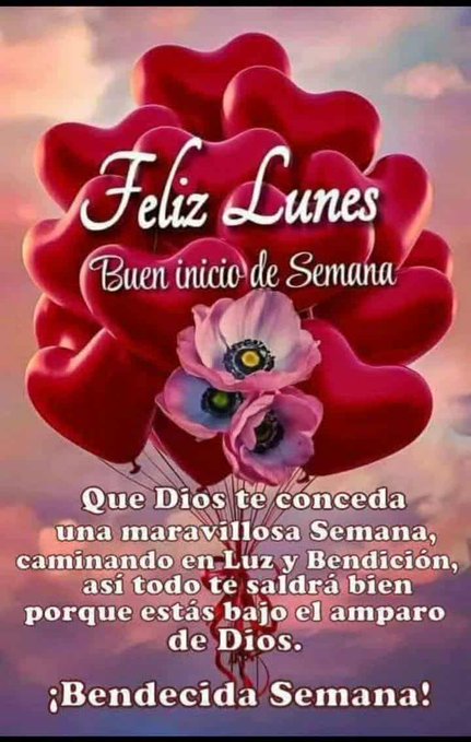 Red heart-shaped balloons float against a light blue sky background with scattered clouds. A cluster of pink and white flowers with yellow centers is attached to the balloons. Bold red text reads Feliz Lunes at the top, followed by Buen inicio de semana. Below that, Que Dios te conceda una maravillosa Semana, caminando en luz y bendicion, porque estas bajo el amparo de Dios. At the bottom, Bendecida semana in red lettering.