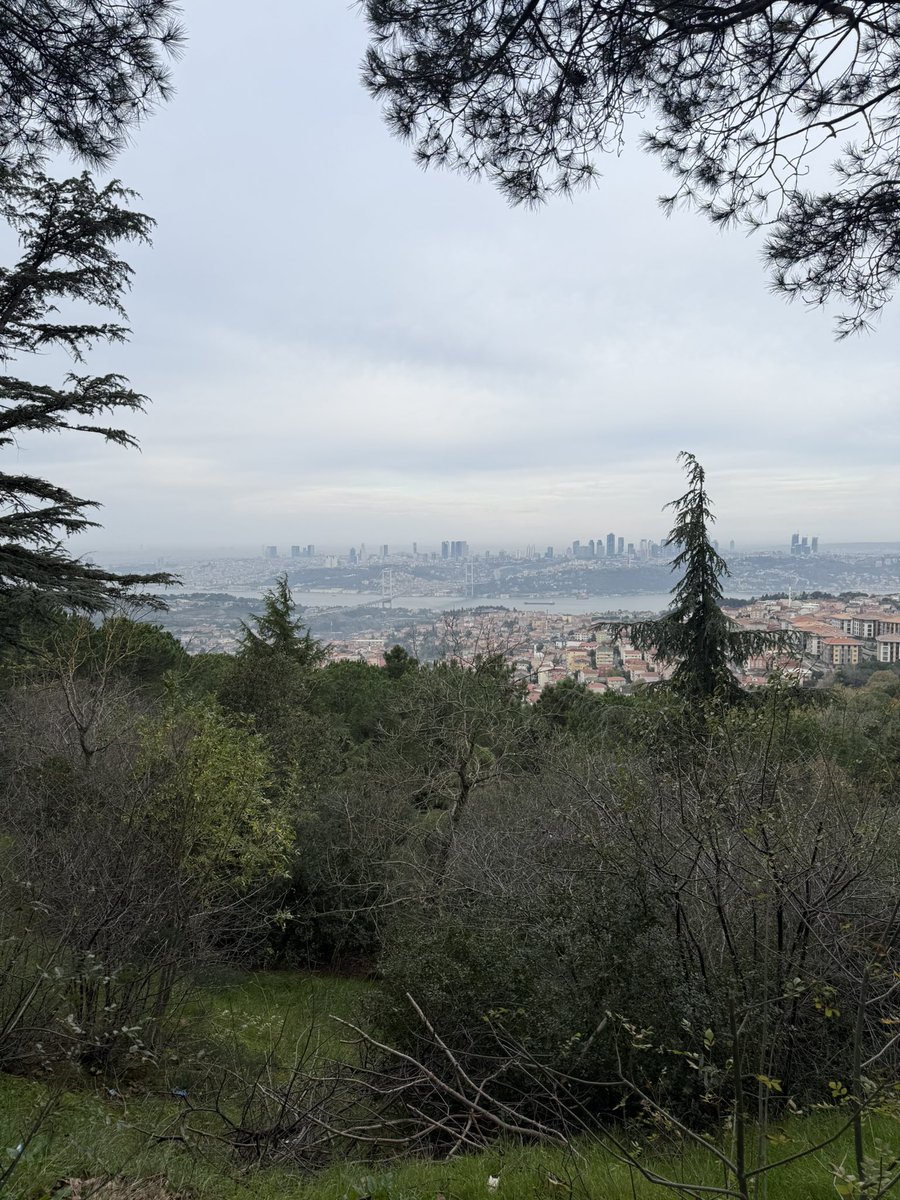 Durma harekete geç. 🏃