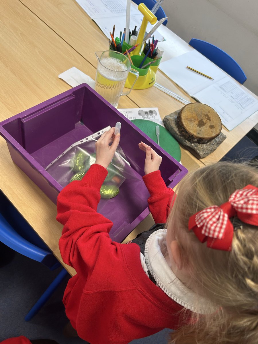 GCPYEAR2's tweet photo. In science we have been investigating which material would be the best to use to make an umbrella @PrimaryGreat #gcpscience https://t.co/mQEZBtFxGE