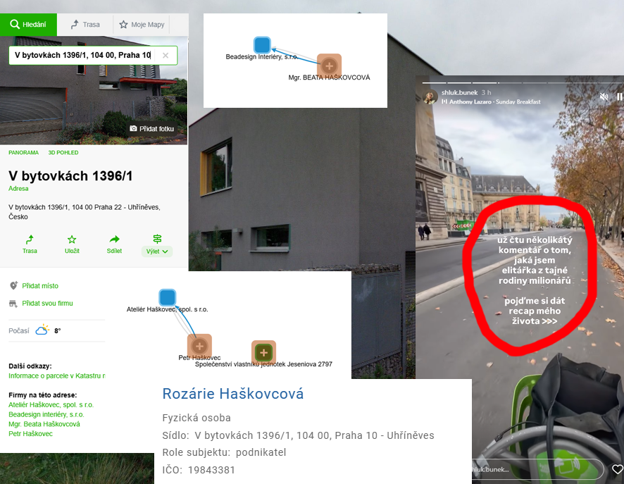 Kokos na sněhu ⛧ tweet media