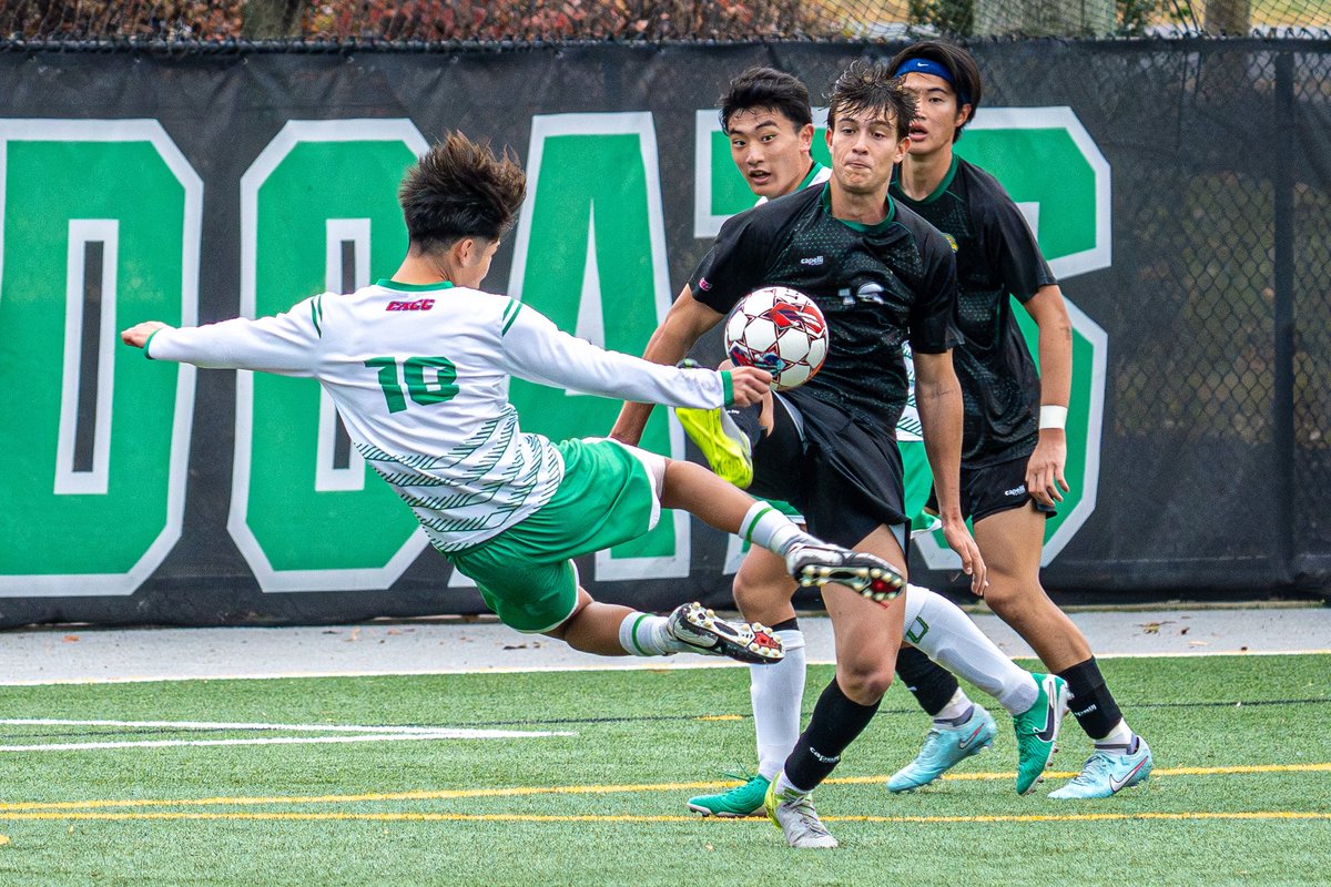 JustGioDesigns 🇮🇹 tweet media