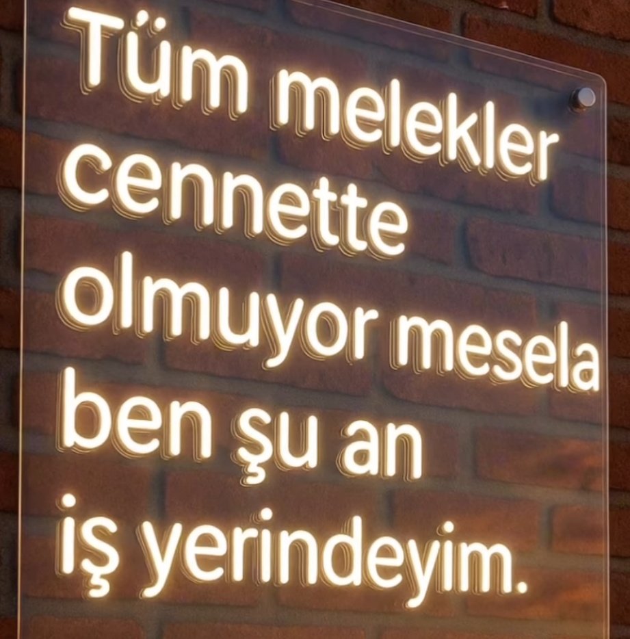 💫💫💫
.........
............