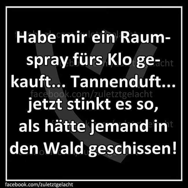 StormyCat tweet media