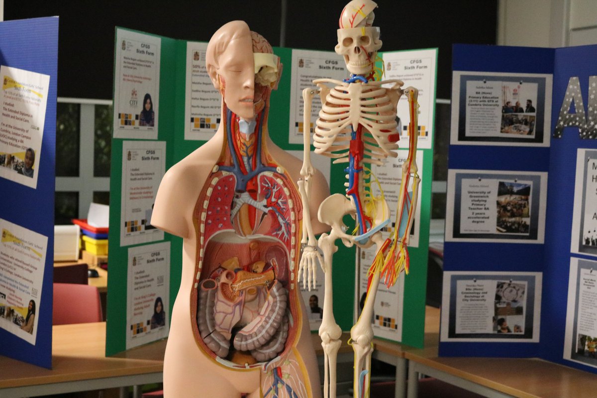 Central Foundation Girls' School tweet media