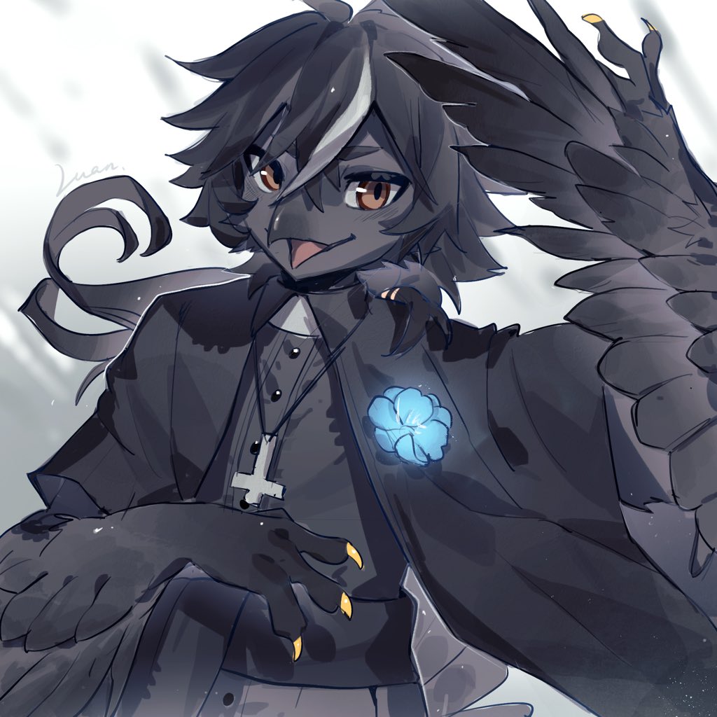 乌鸡也可以这么美丽吗