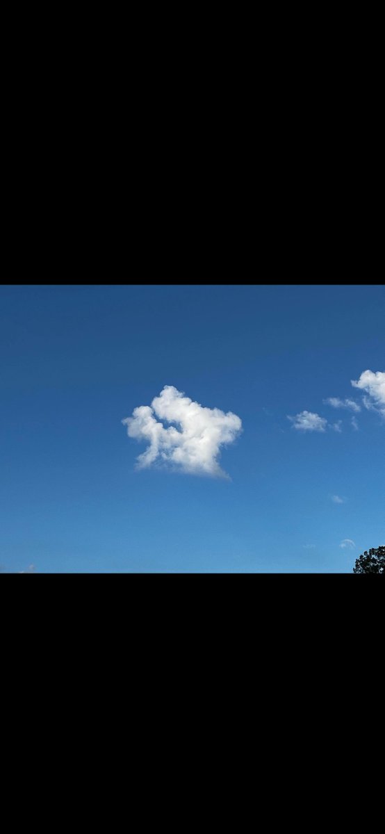 TanManJr's tweet image. This your sign to make today your bitch.