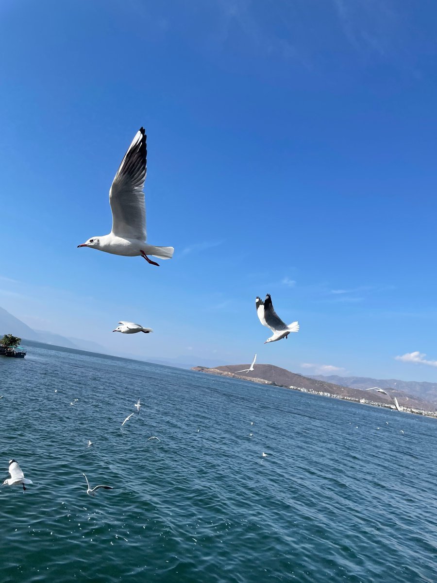 Good sportsmanship is reflected in your actions, not just your words.🧶🧏🏏😇🌌359
room Antarcticpassagewaydecentralizedmeetingfour-year-oldwar.