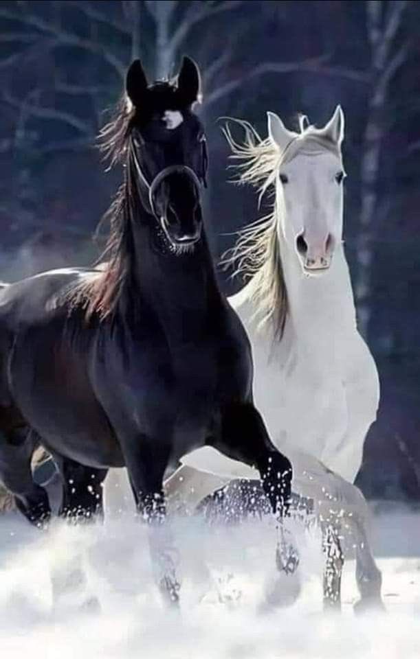 James Anthony 💎 tweet media