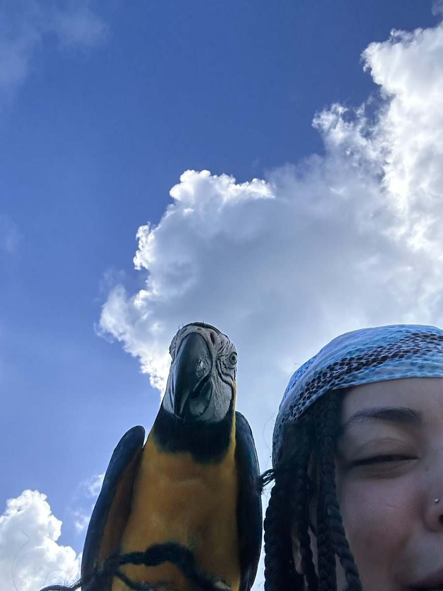 itsfrankietho tweet media