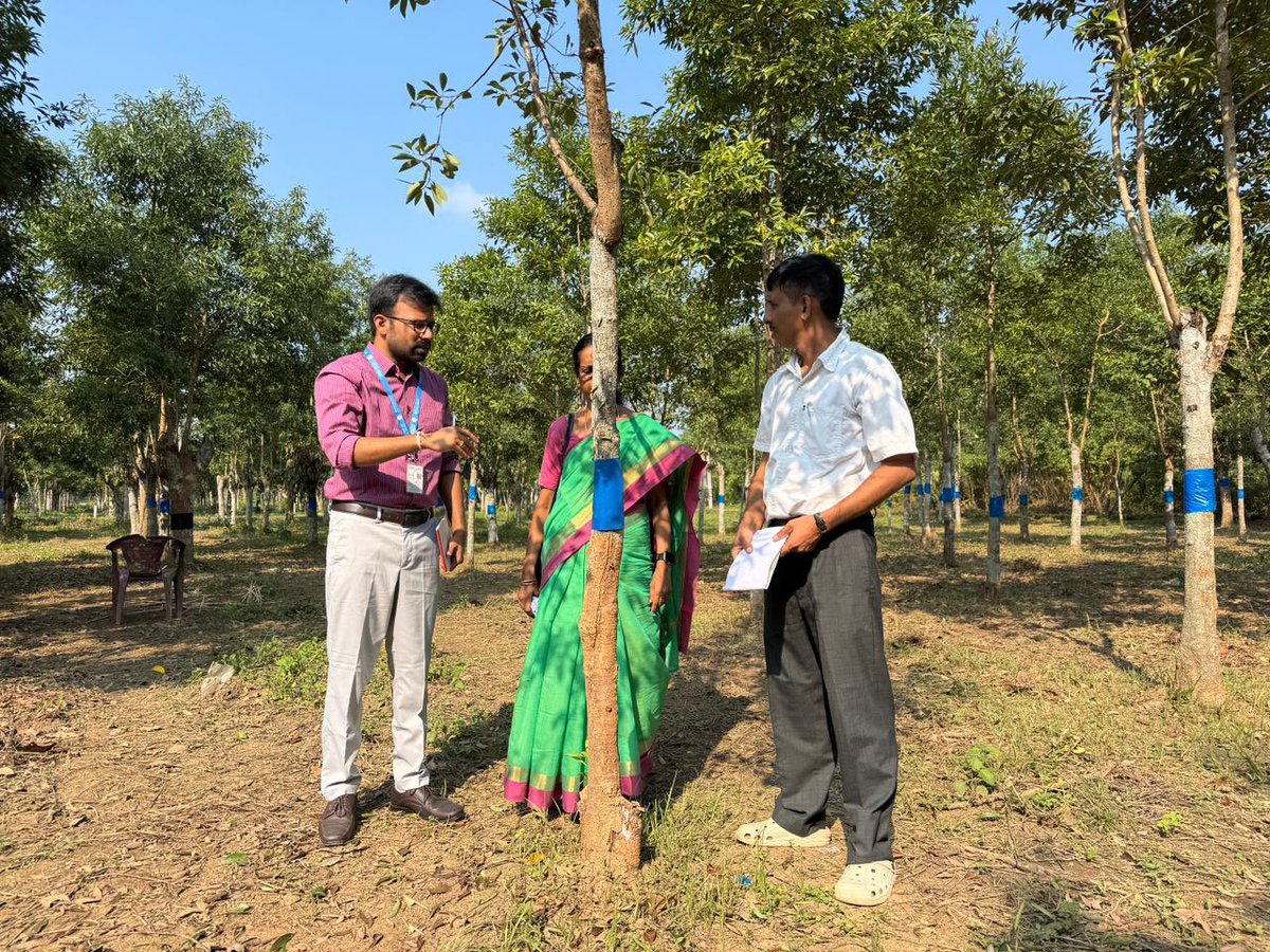 CSB MESSO, Guwahati, Director Dr. M. Maheswari inspected the ongoing muga rearing at P2 Farm Dhupguri, Boko, Assam on 10.11.2025 and shared her valuable guidance on successful rearing and other technical aspects. <a href="/csbmot/">Central Silk Board Ministry of Textiles</a> <a href="/TexMinIndia/">Ministry of Textiles</a>