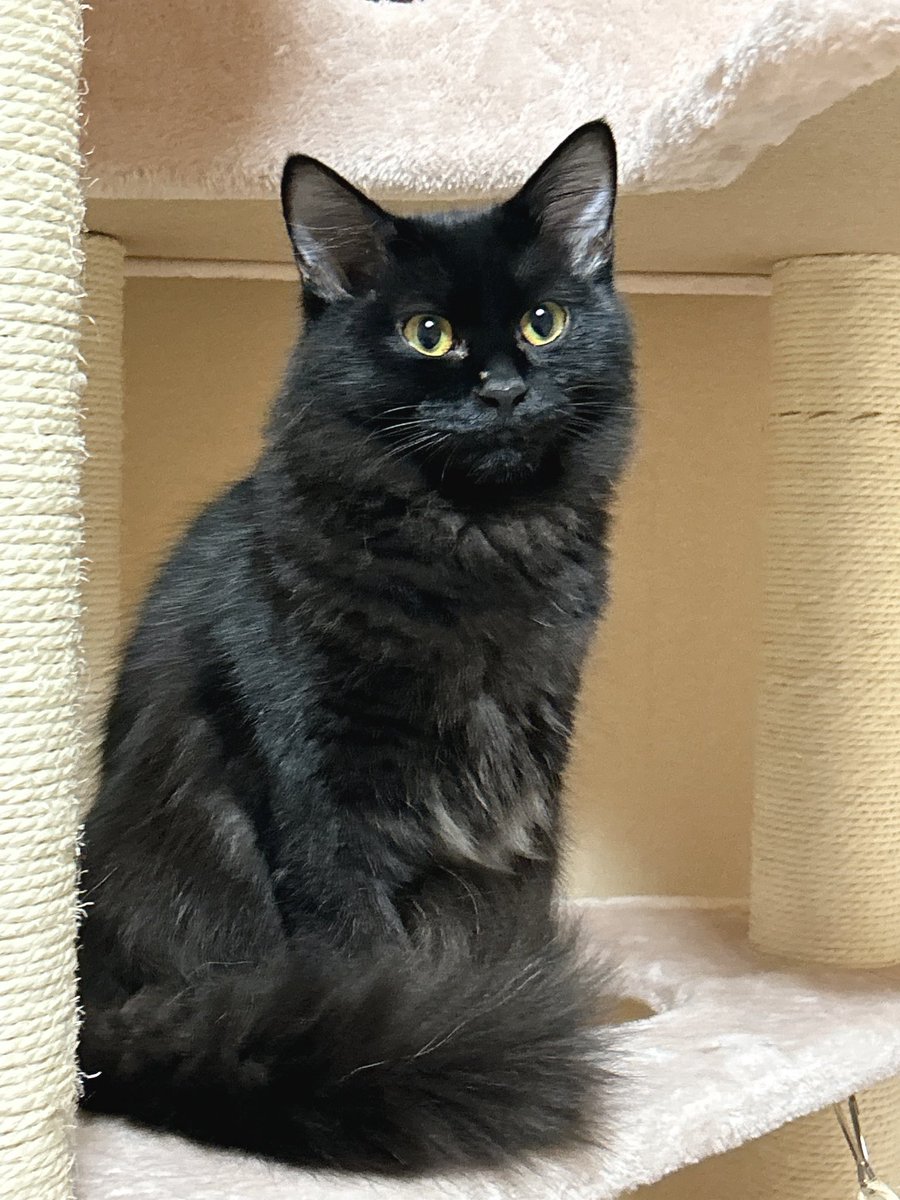 soyokaze0800's tweet image. 最近のお気に入り