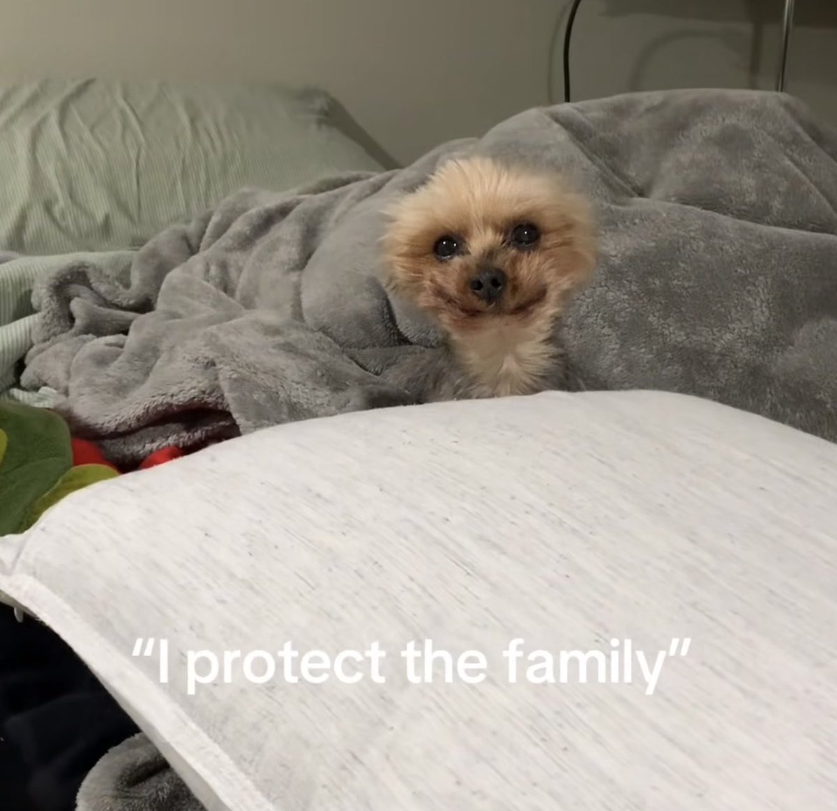 Lily Bloom (@lilyfbloom) on Twitter photo 