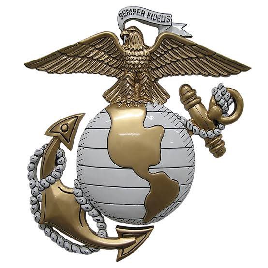 Happy Birthday to all my brothers and sisters. Semper Fi forever.