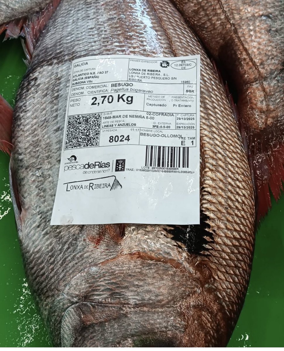 Unhas marabillas de fotografías sacadas por <a href="/deondesenon/">pescadeRías</a> 
#DietaAtlántica en estado puro

gciencia.com/tribuna/os-num…

gciencia.com/tribuna/o-mari…

<a href="/GC_GCiencia/">GCiencia</a> 
<a href="/feijoo_costa/">Gumersindo Feijoo Costa</a>