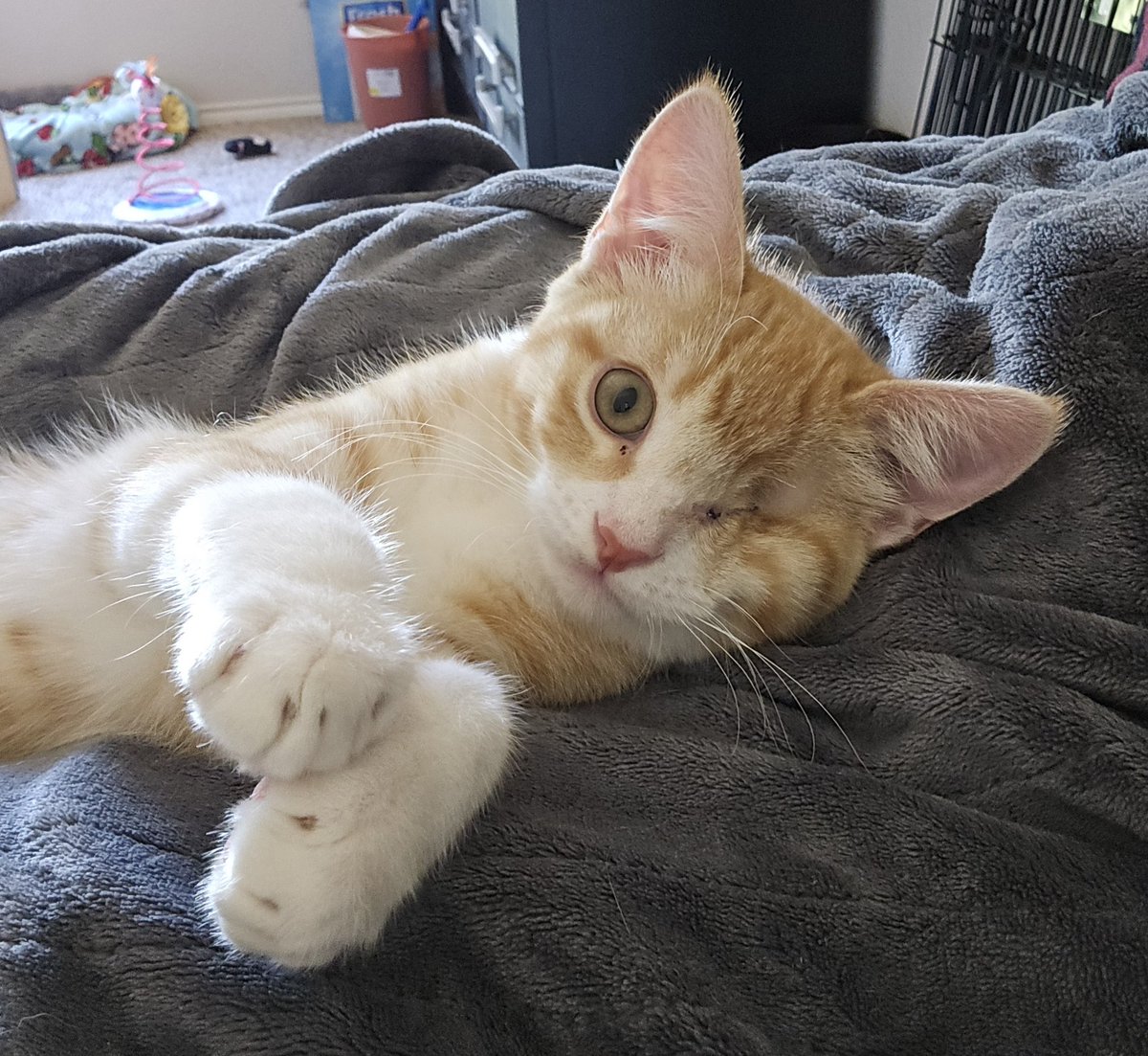 I love my silly little baby so much!!!!!