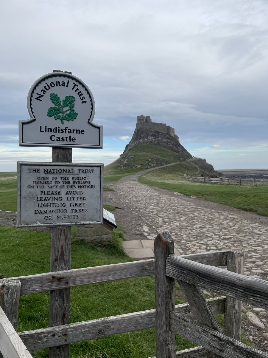 Sharon McSweeney tweet media