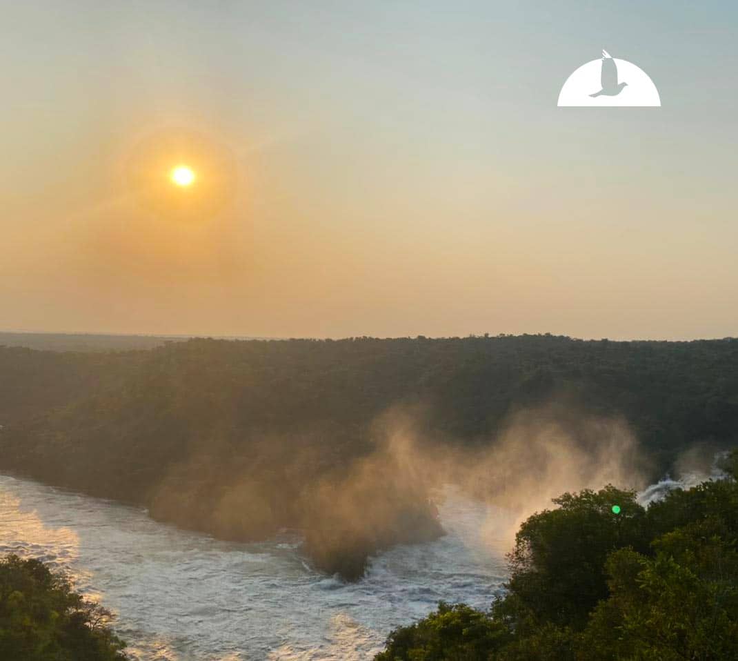 elhaneman's tweet image. Uganda&apos;s lakes are on fire with God&apos;s wonder! Each sunrise is a testament to faith, beauty, and the power of creation.
Elhaneman.com
#FaithReflection #UgandaUnfiltered #Elhaneman #ugandasafaris #gorillatrekking