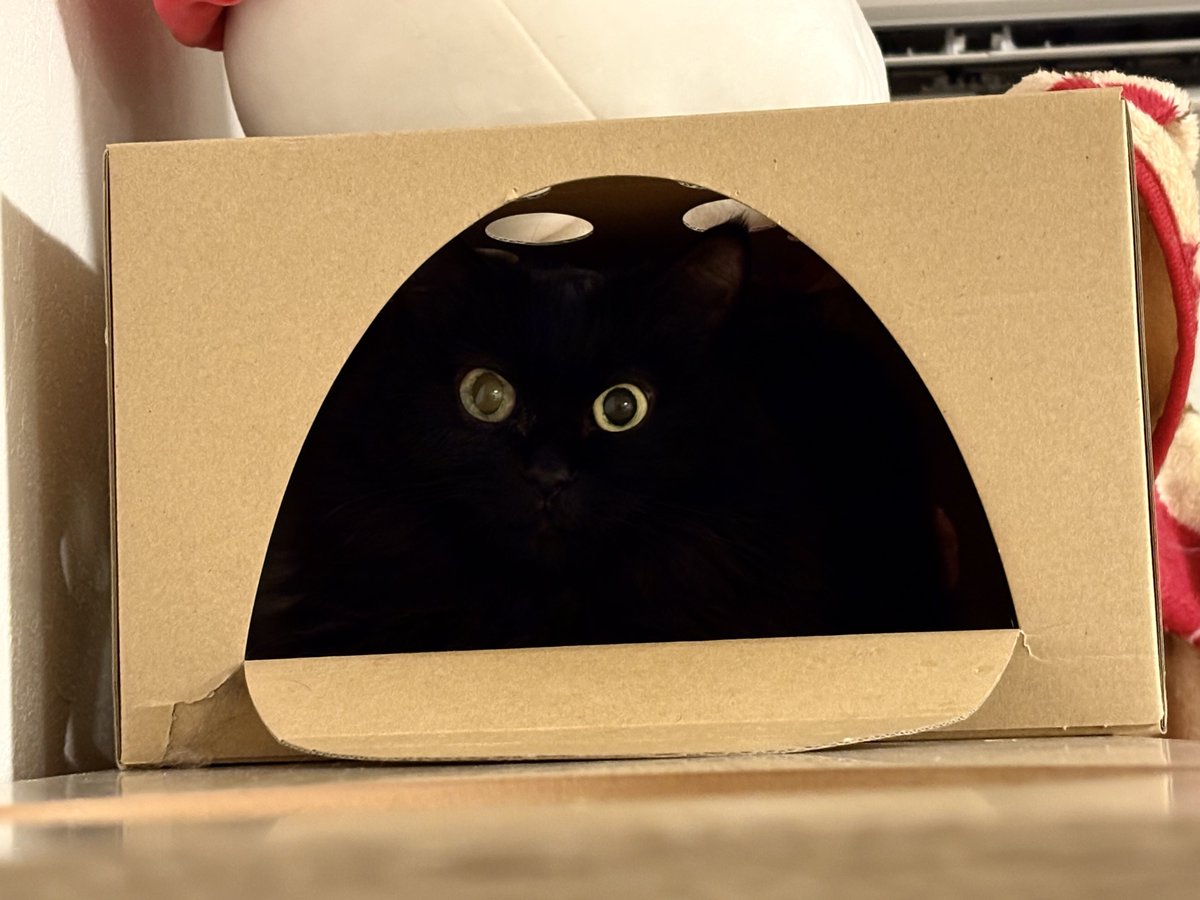 我々が深淵を覗くとき

深淵はかわいい