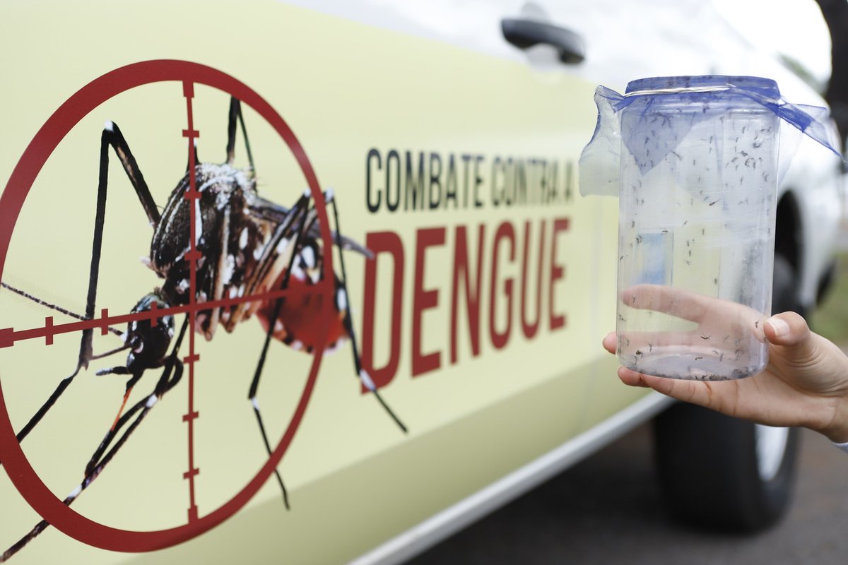 Neste sábado foi realizado o Dia D de Mobilização Nacional Contra a Dengue, uma iniciativa de combate à proliferação do Aedes aegypti. No DF, a parceria da SES com o Ministério da Saúde preparou diversas ações de conscientização à população.

📲Saiba mais: encurtador.com.br/rbuS