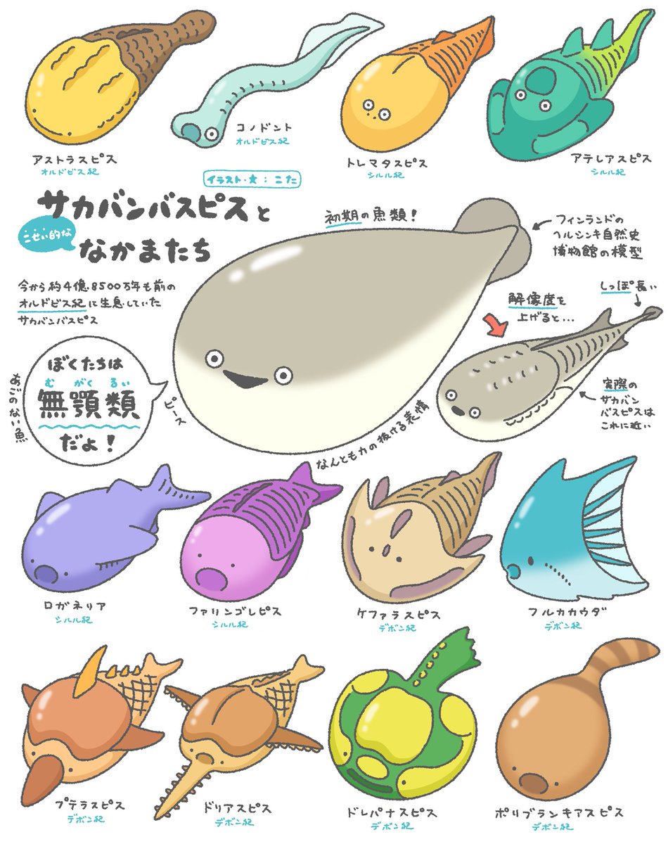 こた｜絵本作家 tweet media