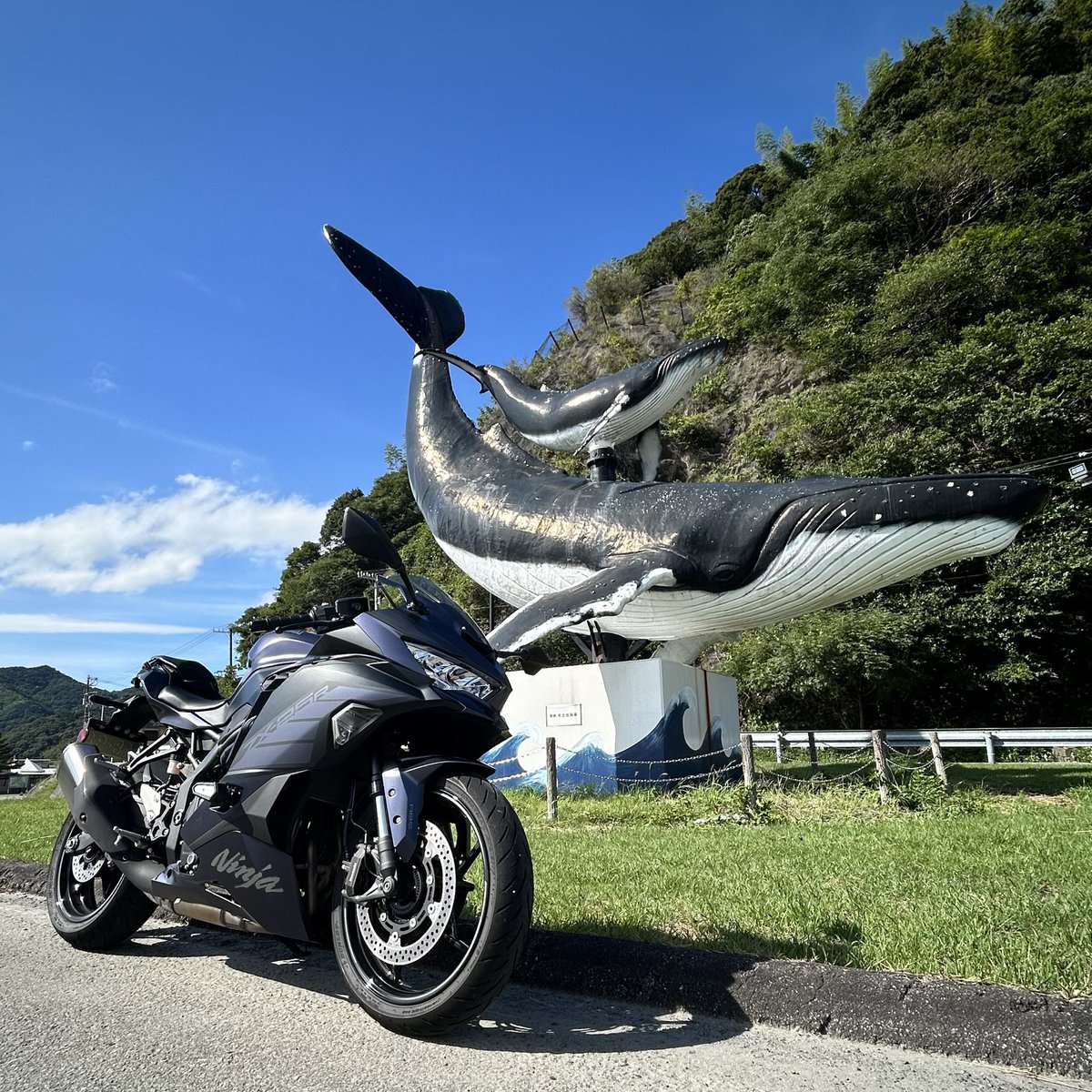 ふくろう (@ninja_0912) / Posts / X