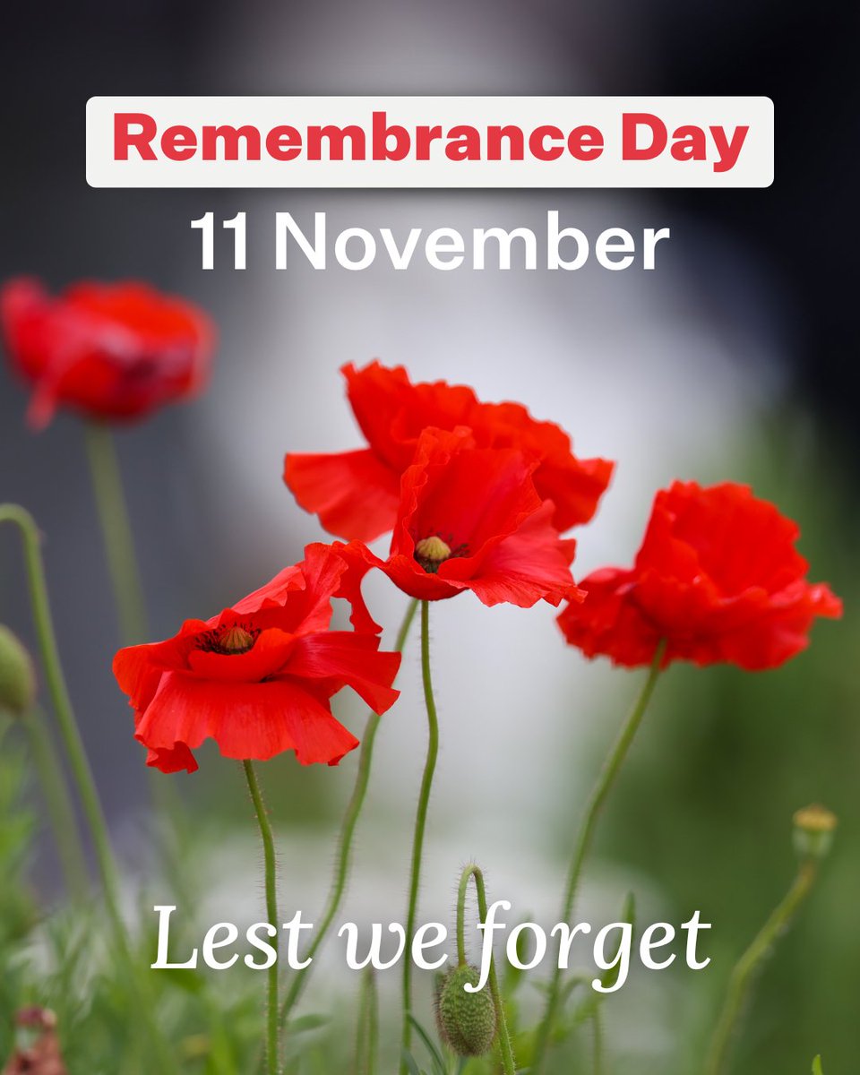 Senator Raff Ciccone tweet media