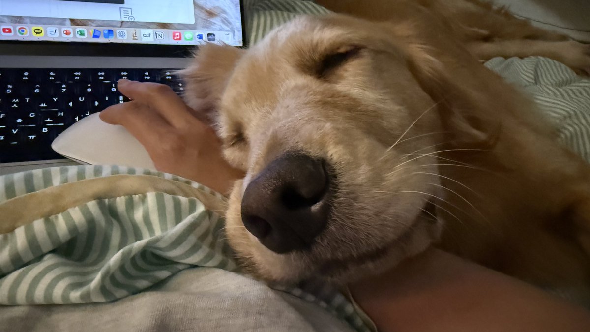 내 것 이지만, 내 맘대로 쓸 수 없는, 내 손