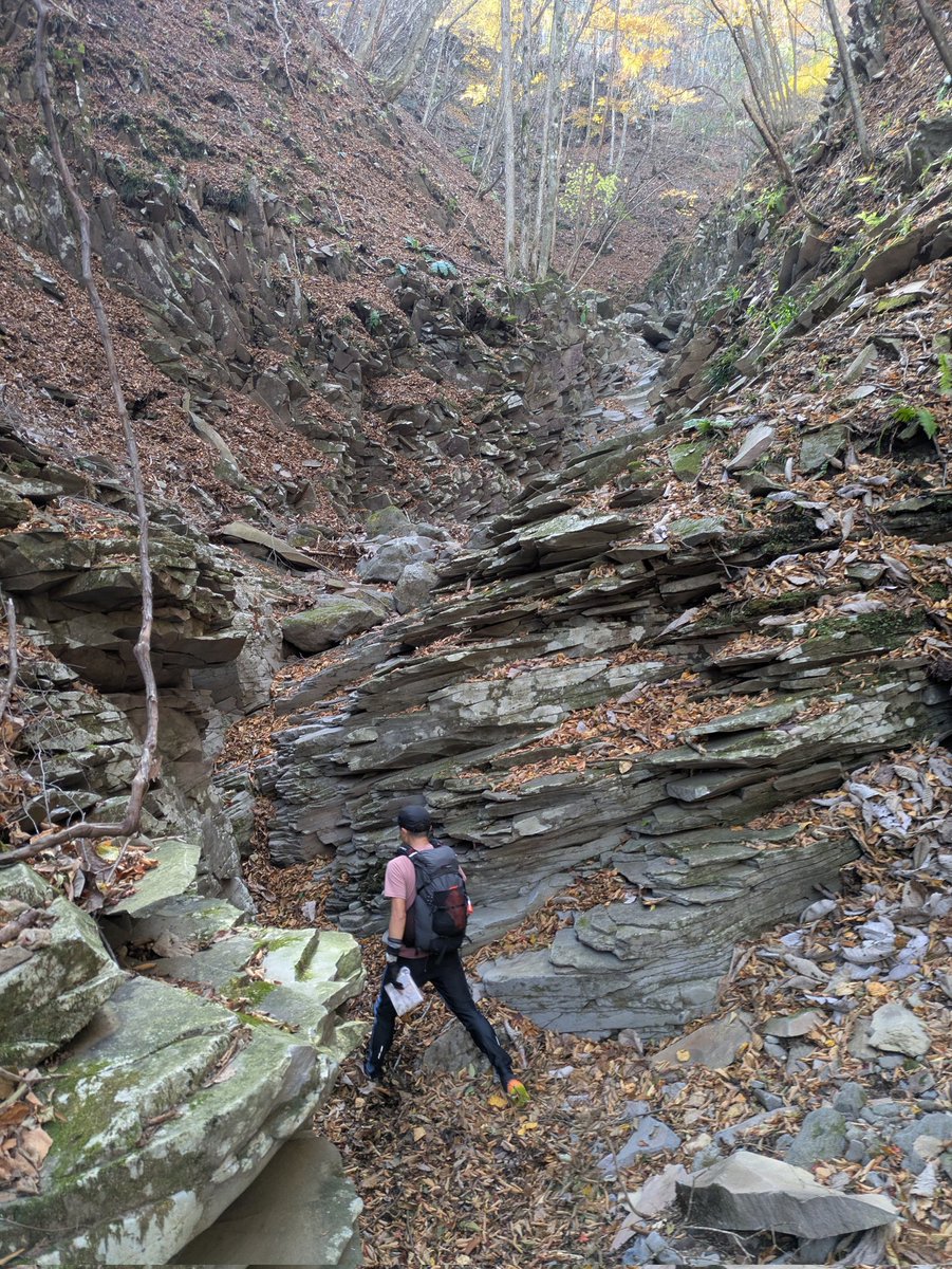 2回目のOMMはストレートEを無事完走✌️山を走るトレーニングしないと1ケタは入れなさそう。初日ある沢沿いを行ったら逆層の板状節理の崖に阻まれ、厳しい高巻きを強いられた。クライミングしててよかった。これぞ山の総合格闘技(笑)