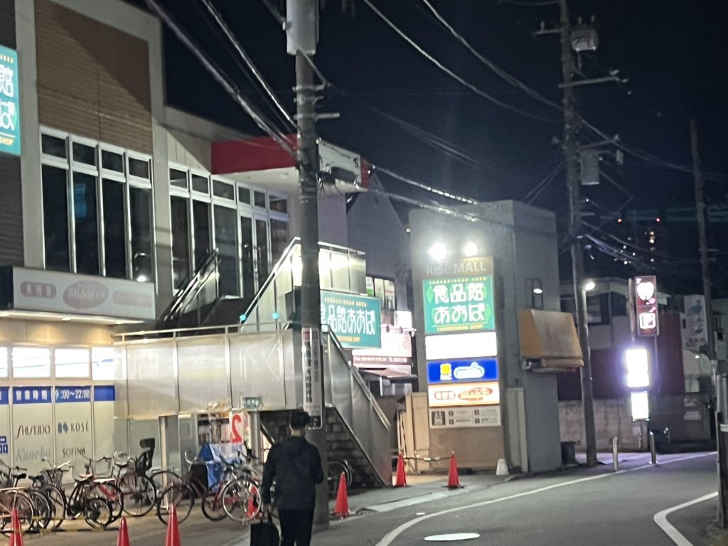 NJ🍃🦊🌸🐰 on X