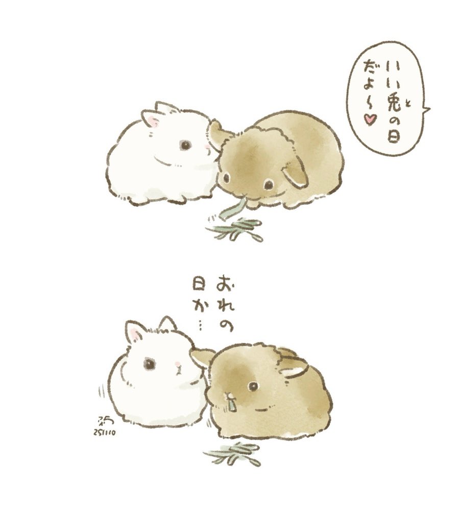 taiga15's tweet image. 🐰1110=いい兎=全てのうさぎさん