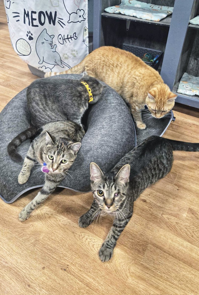 Crash's Landing tweet media