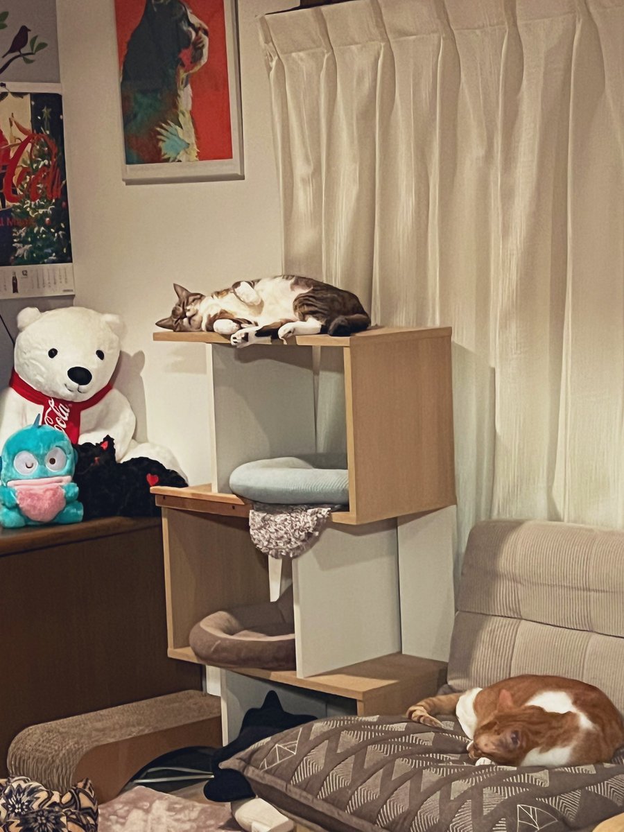 みじりめしか。 on X