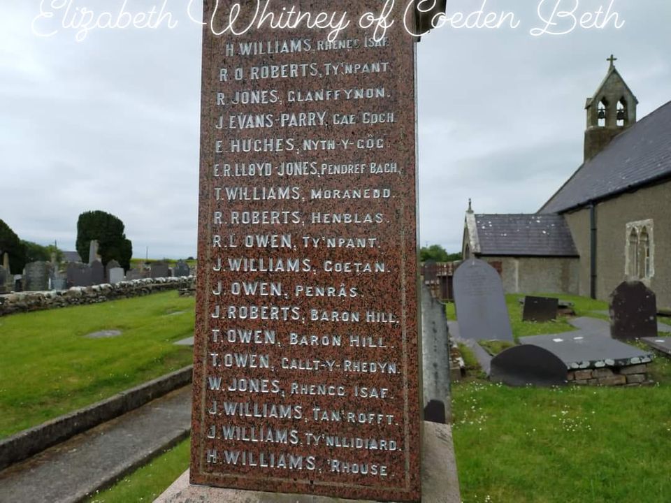 Coeden Beth tweet media