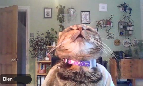 Ellen tweet media