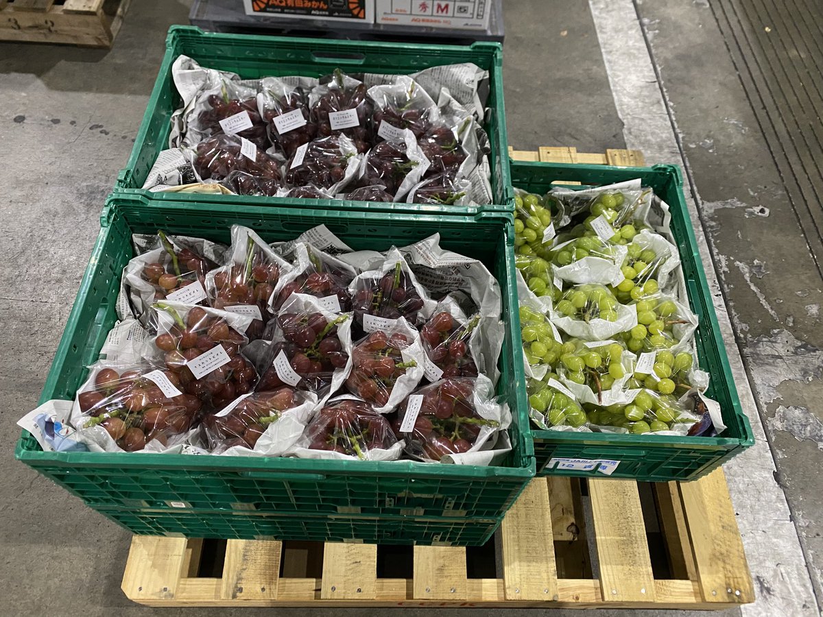 舟ヶ作ぶどう園 on X