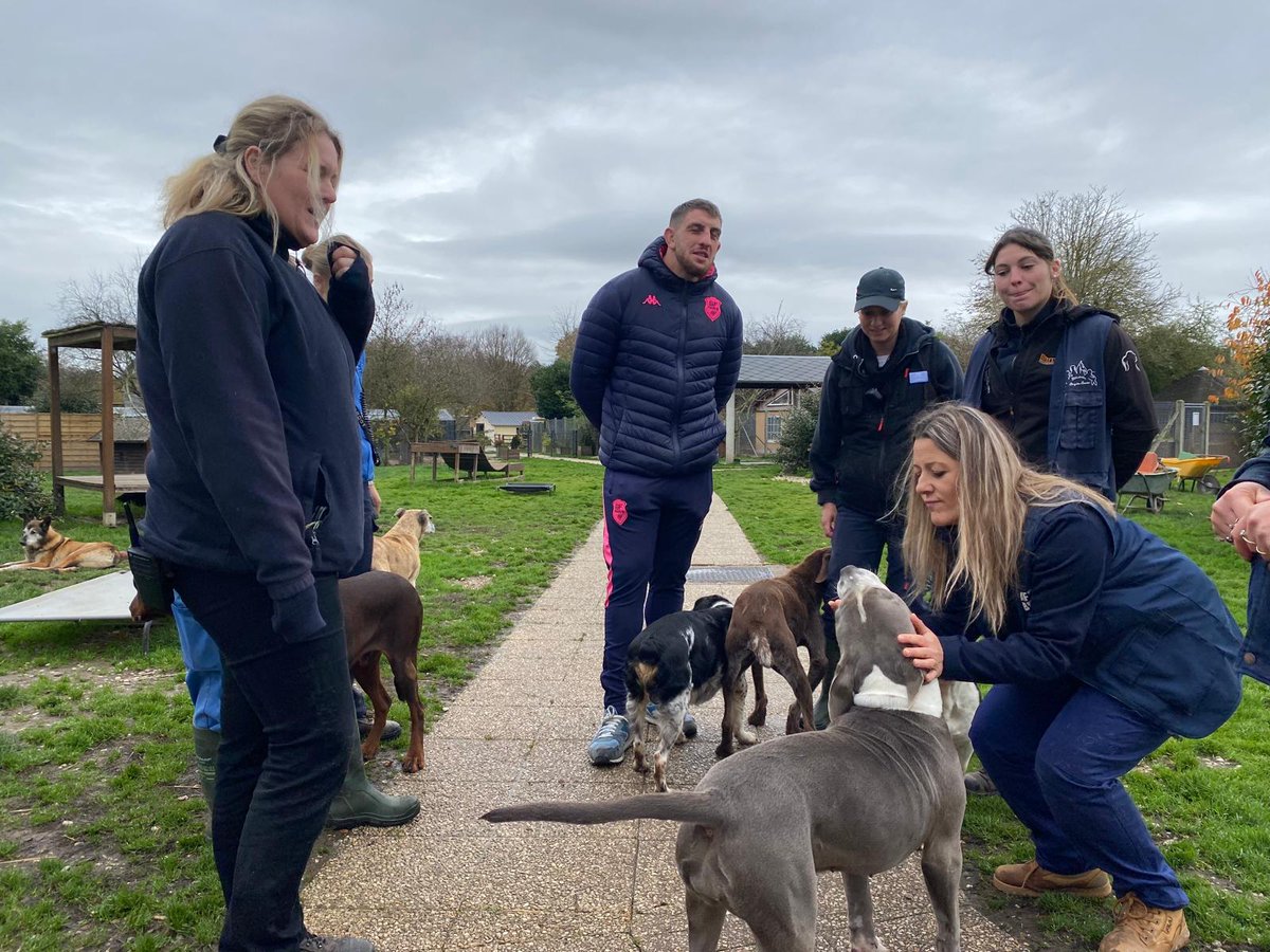 FBB_Officiel's tweet image. #REFUGE
🏉 Baptiste Pesenti au refuge de la Mare Auzou
Nous avons eu le plaisir d'accueillir @PesentiBaptist_, joueur de rugby à XV au @SFParisRugby et grand ami des animaux, au sein de notre refuge de la Mare Auzou. Cette rencontre avec nos équipes et nos pensionnaires a été un