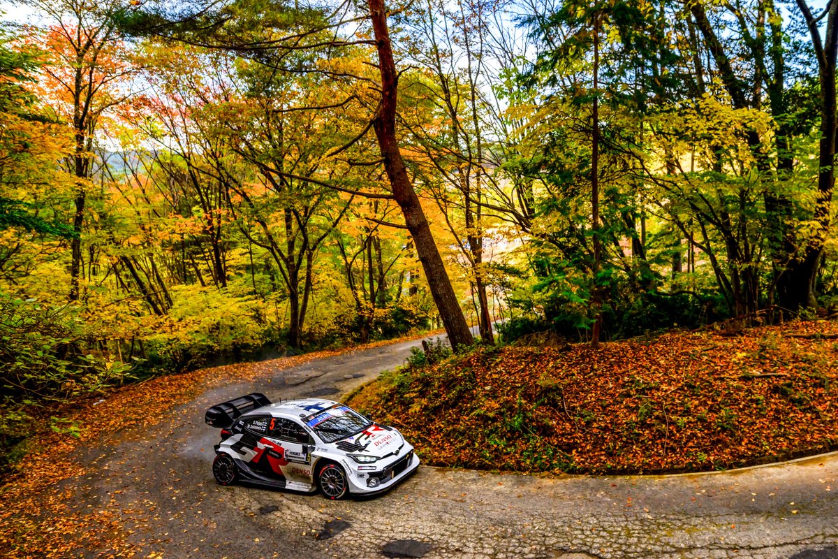 OfficialWRC's tweet image. Autumn vibes in Japan 😍🍂

#WRC | #RallyJapan 🇯🇵