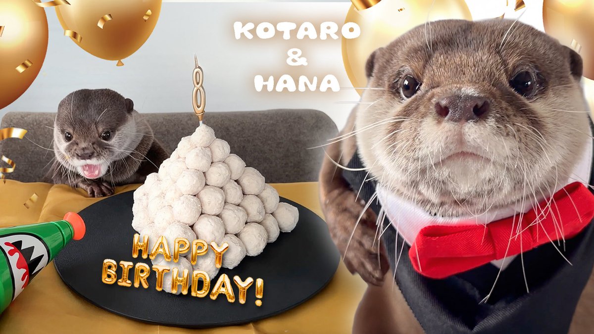 Cotsumet's tweet photo. カワウソコタロー誕生日にお団子ピラミッドケーキあげたら大喜び！　Otter Kotaro’s Birthday Party with Meatball Pyramid Cake

https://t.co/Ehcvd3DJr9
↑YouTubeで見れます🎂 https://t.co/NIzeG2pjdb